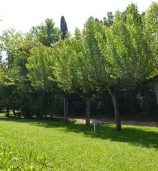 Emissioni in atmosfera