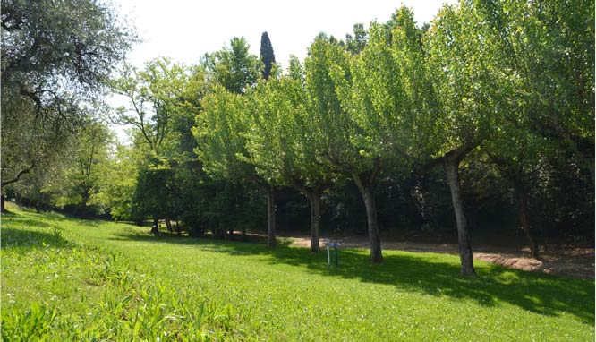 Emissioni in atmosfera