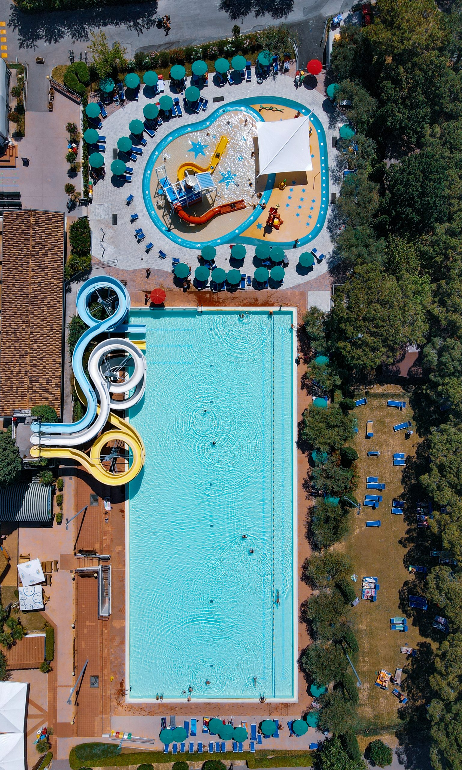 Piscina olimpionica